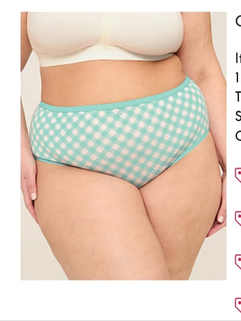 Cacique Blue Gingham Brief Panties 22/24